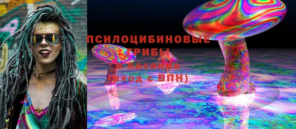apvp Лиски