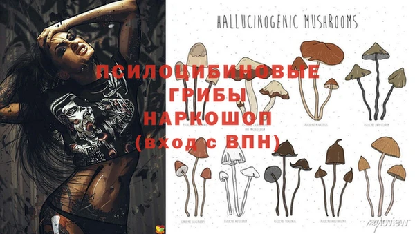 амфетамин Лихославль
