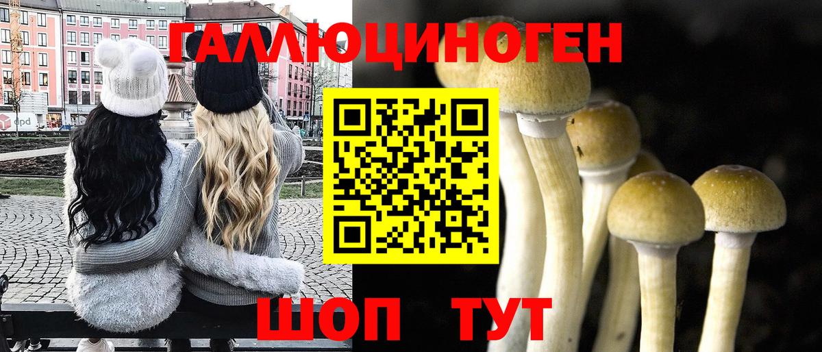 Псилоцибиновые грибы MAGIC MUSHROOMS  Альметьевск 