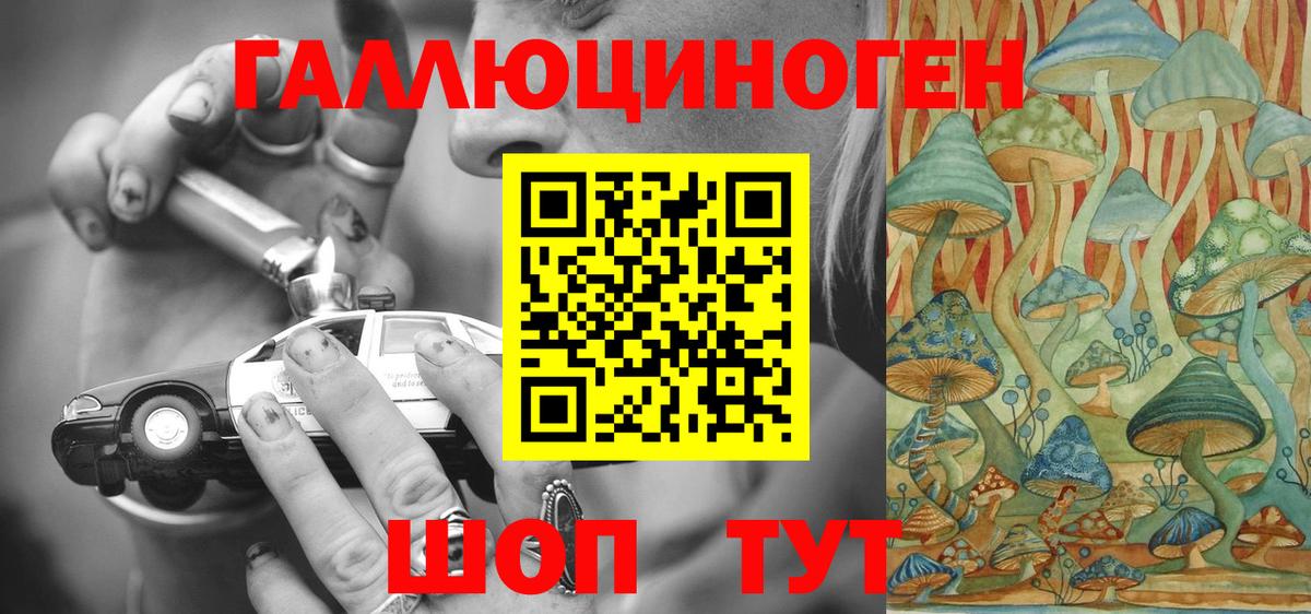 Альметьевск  Псилоцибиновые грибы Psilocybe  Вход с VPN 