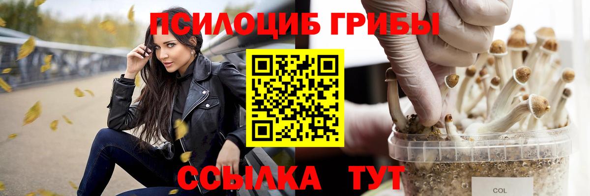 Псилоцибиновые грибы MAGIC MUSHROOMS Альметьевск